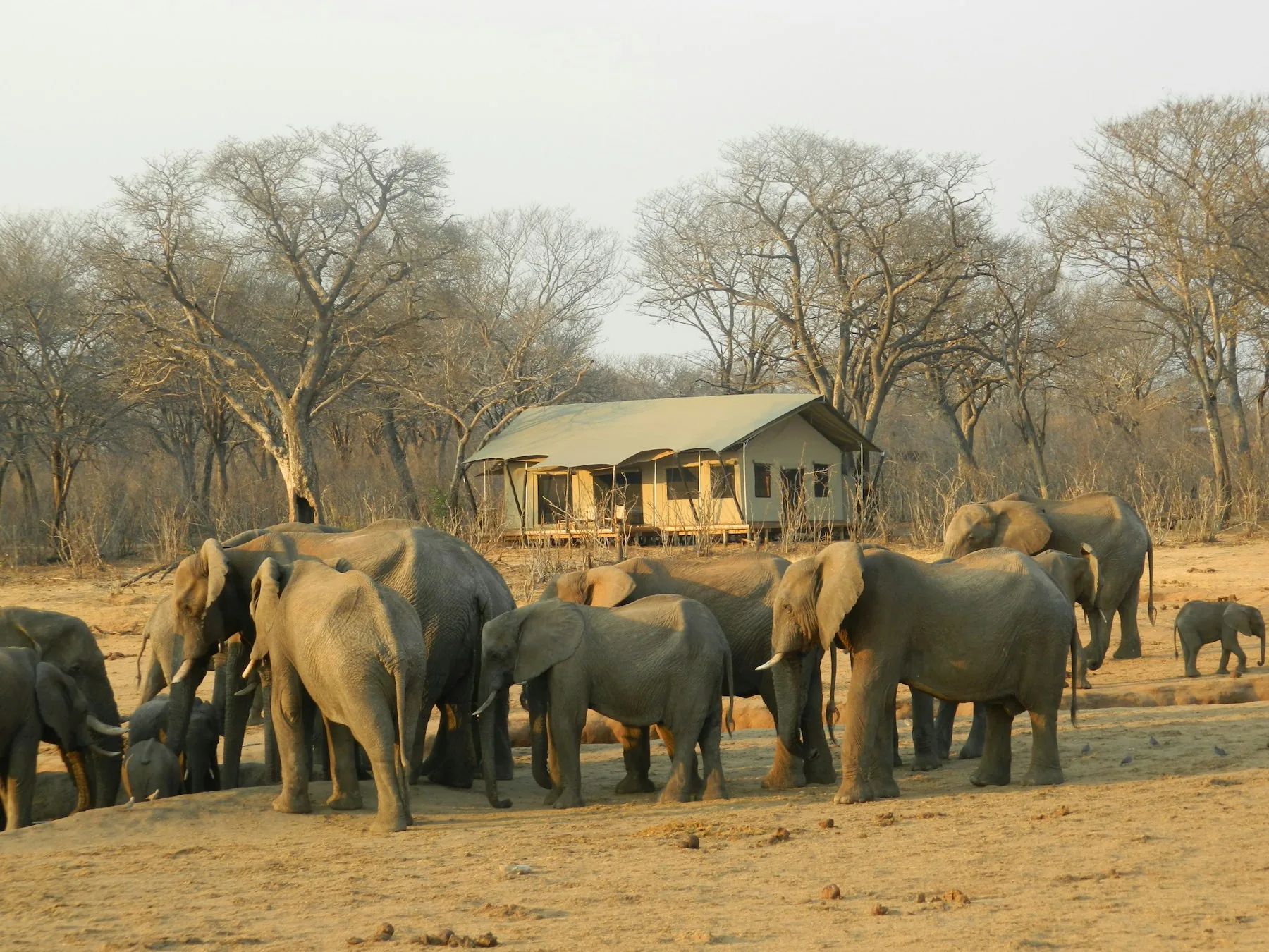 Travellers behaving respectfully on a Kenya group safari
