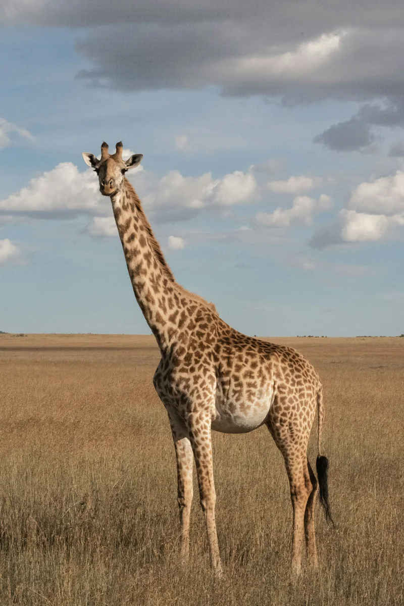 Group safari lodge setting for a faith retreat in Kenya