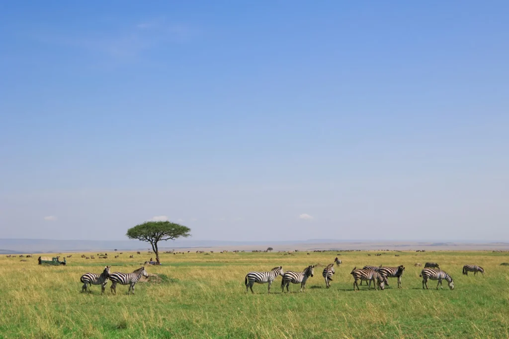 Open wildlife plains in Kenya