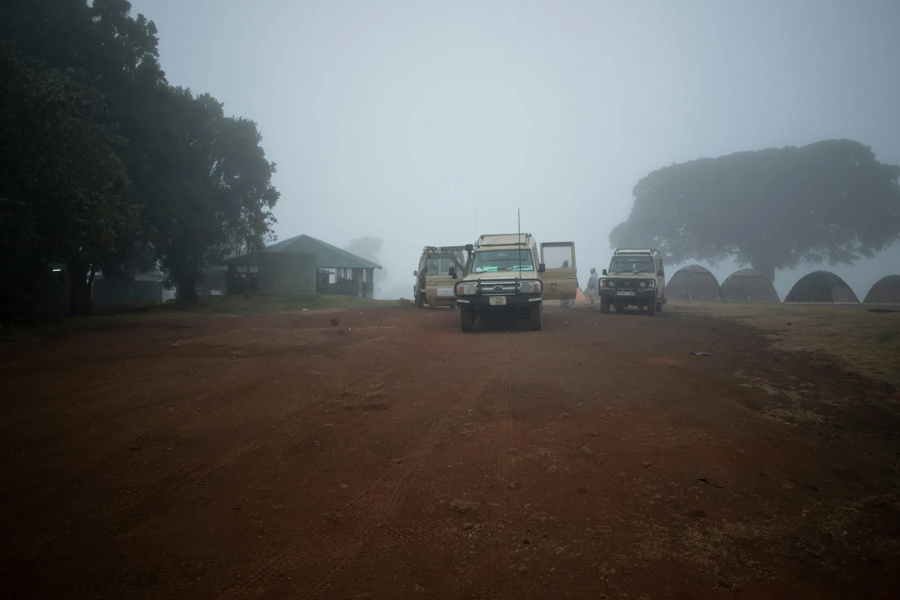 Corporate team on a safari retreat in Kenya