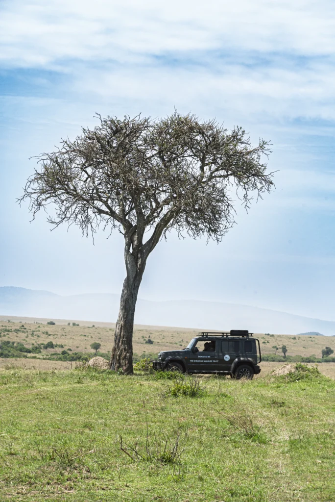 Safari vehicle beneath an acacia tree in Kenya