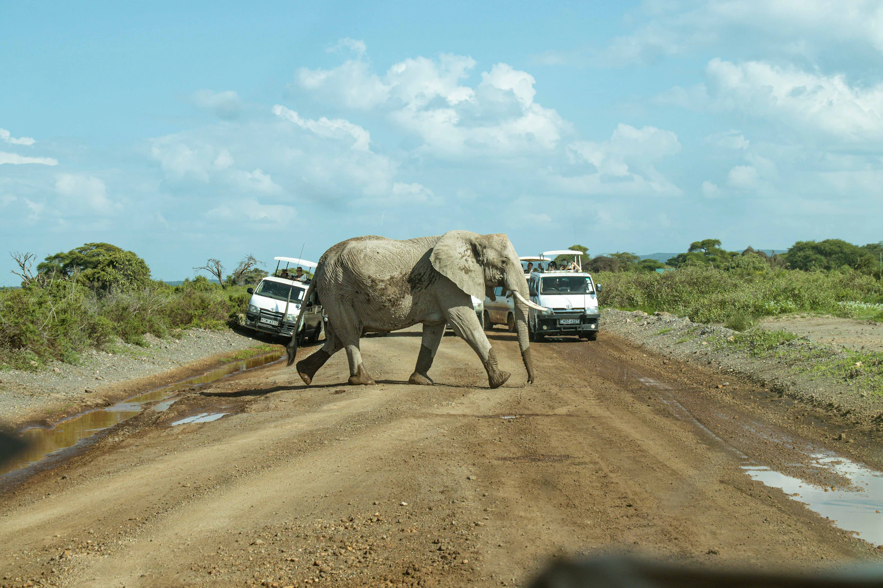 Safari guide briefing a group in Kenya