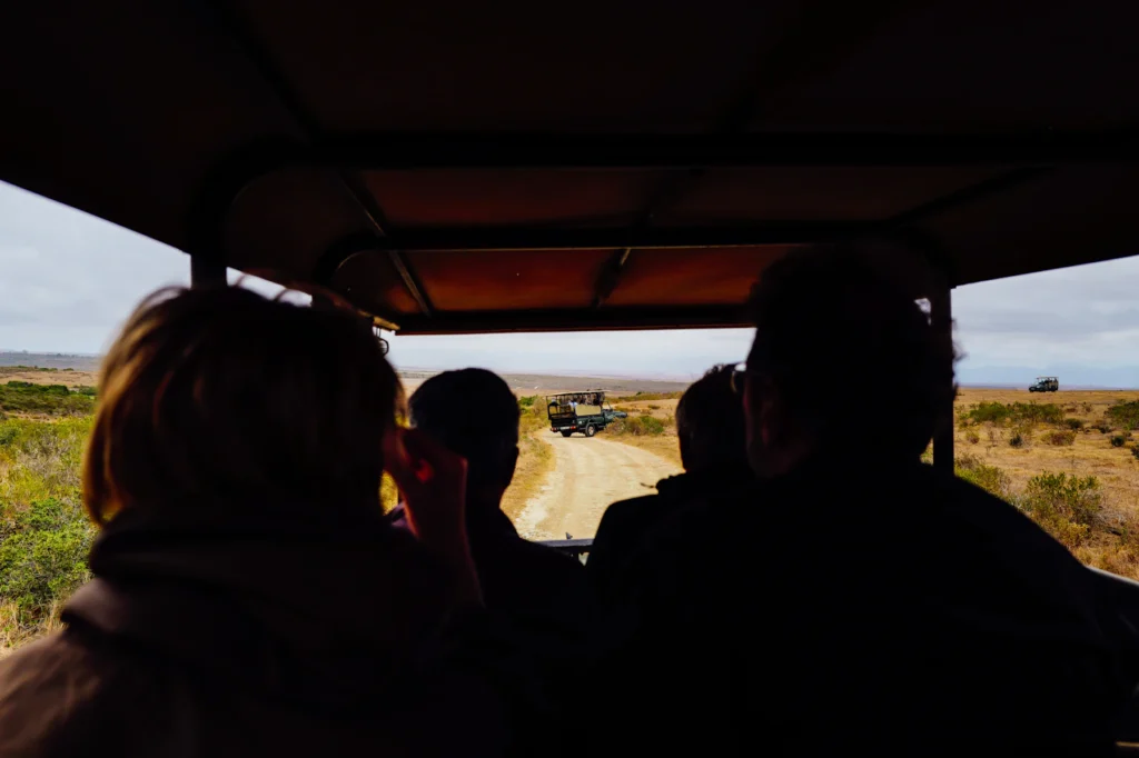 Travellers riding in a safari vehicle