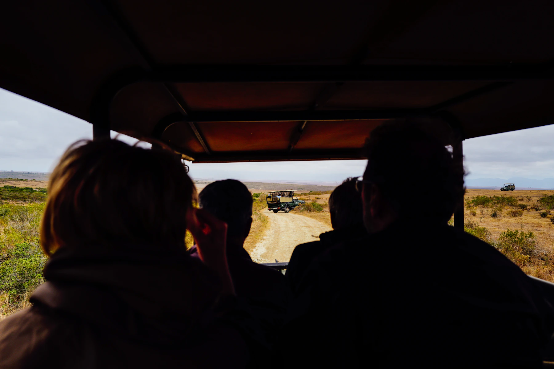 Elephants near a safari vehicle at a respectful distance