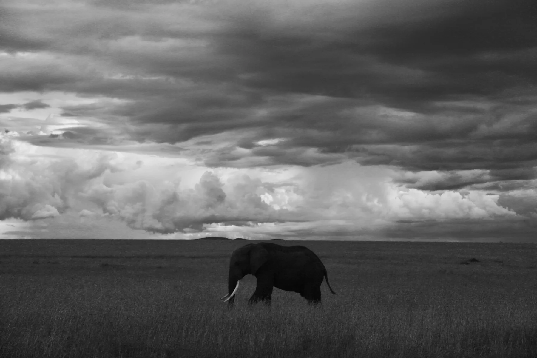Open Kenya landscape during group safari booking